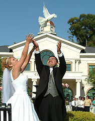 Wedding Photography
